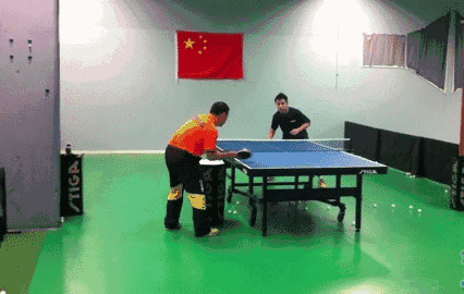 乒乓运动_乒乓运动员樊振东的女朋友是谁_乒乓运动员有哪些